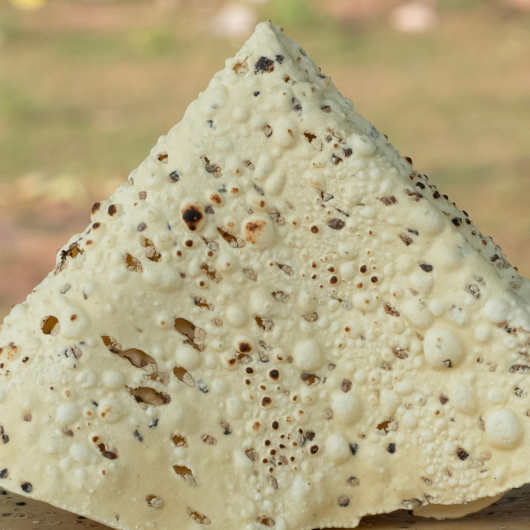 Moong Punjabi Papad Spicy & Crispy Punjabi Style Mathaniya Organic Masale