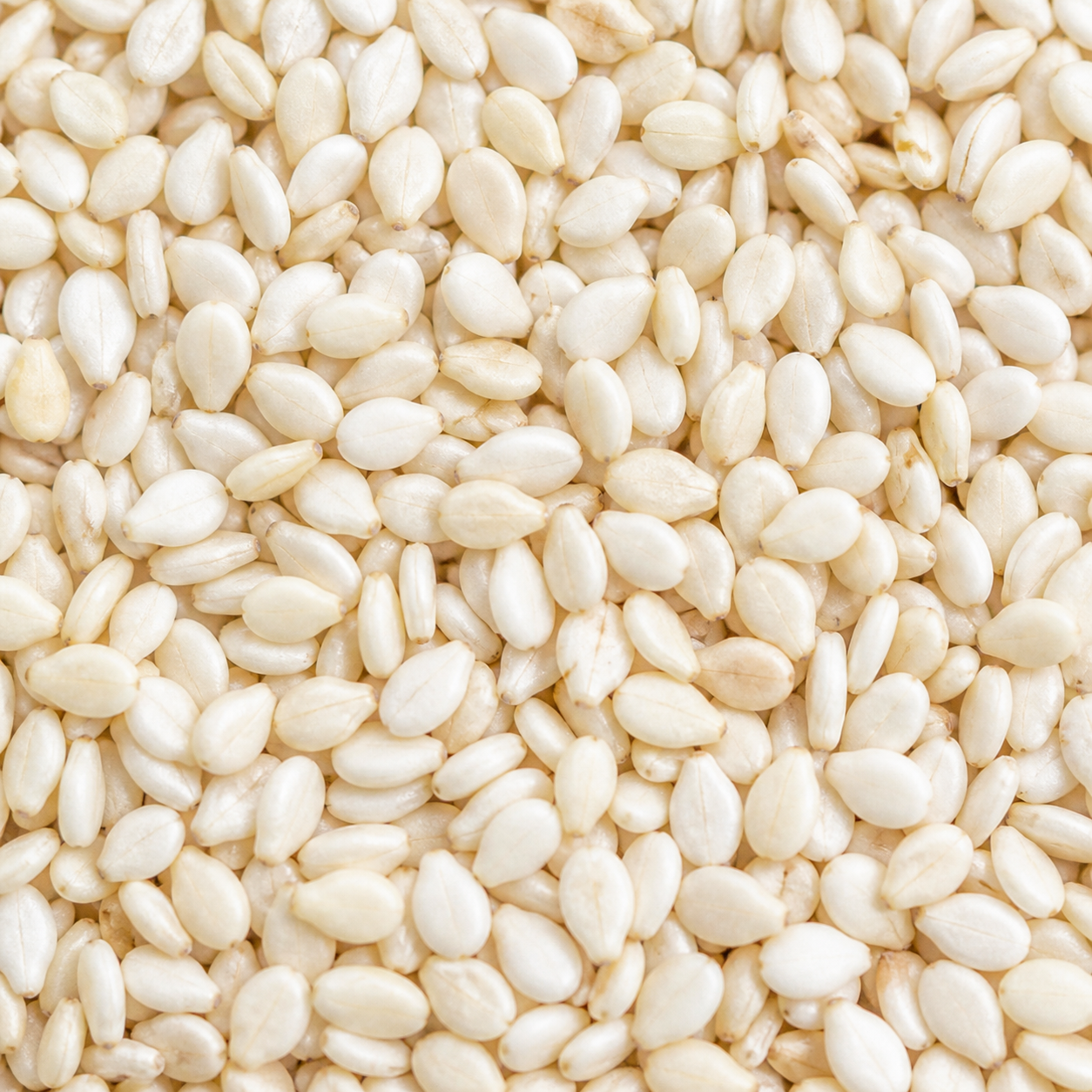 Premium White Til | White Sesame Seeds | Fresh, Natural & Crunchy